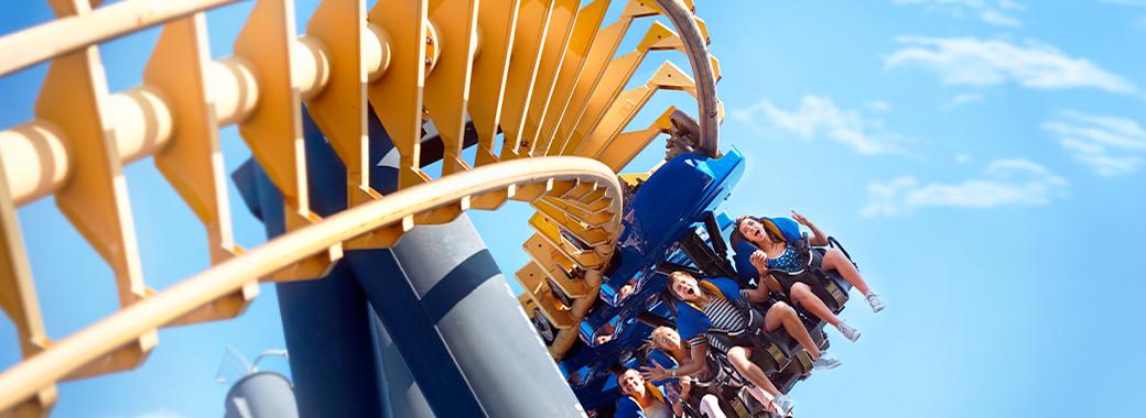 Roller Coaster Day: How You’d Celebrate If You Hit the Jackpot